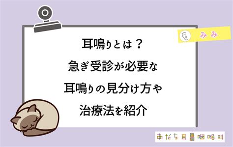 右耳 耳鳴|耳鳴りとは？急ぎ受診が必要な耳鳴りの見分け方や治。